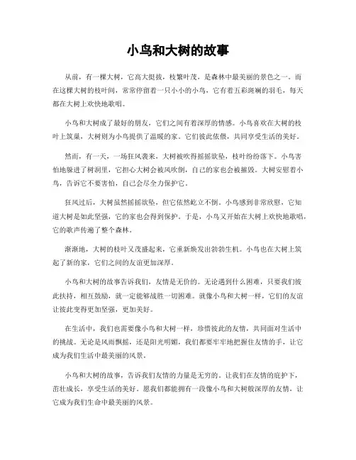 小鸟和大树的故事