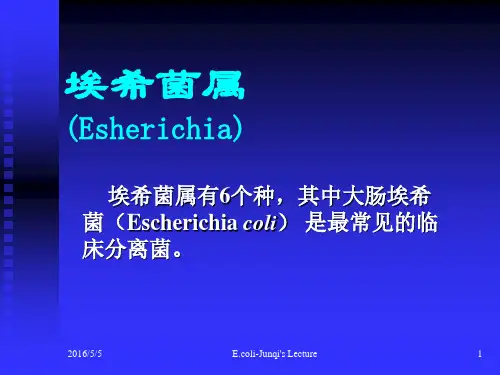 《医学微生物学》教学课件：7 E.coli-埃希菌属