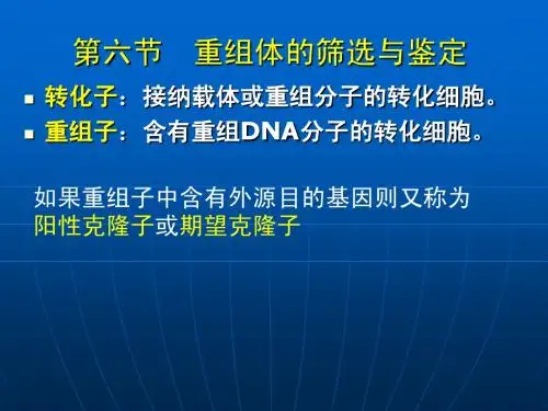 基因工程5-重组子筛选(中国药科大学生物工程所有课件)