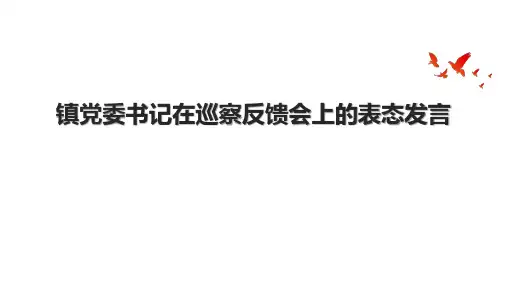 镇党委书记在巡察反馈会上的表态发言