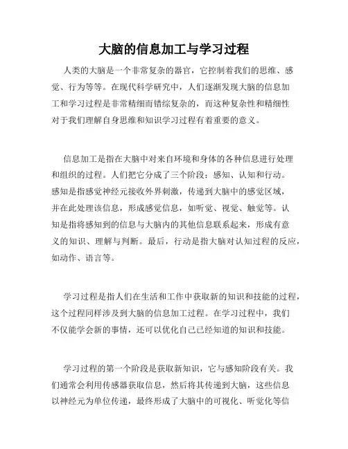 大脑的信息加工与学习过程