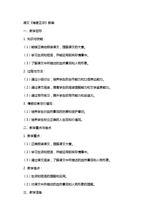 课文《梅香正浓》教案