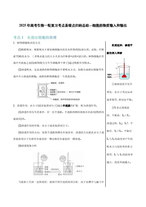 2025年高考生物一轮复习考点易错点归纳总结—细胞的物质输入和输出