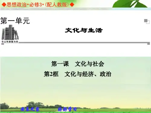 文化生活第一单元 第一课 第2框