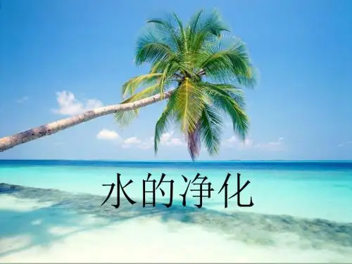 人教版九年级化学上册4.2《水的净化》课件(共37张PPT)