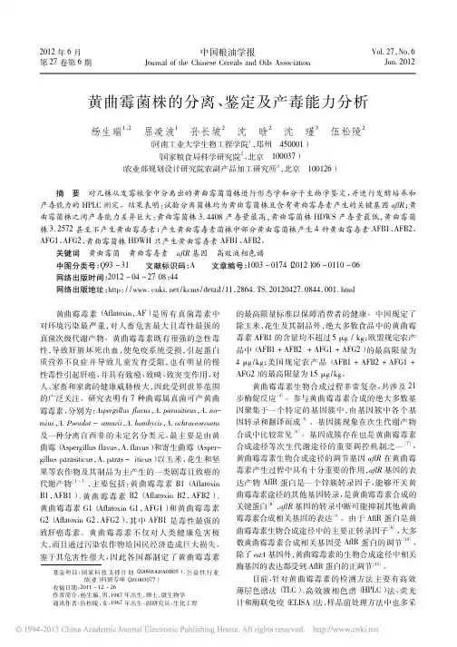 黄曲霉菌株的分离_鉴定及产毒能力分析