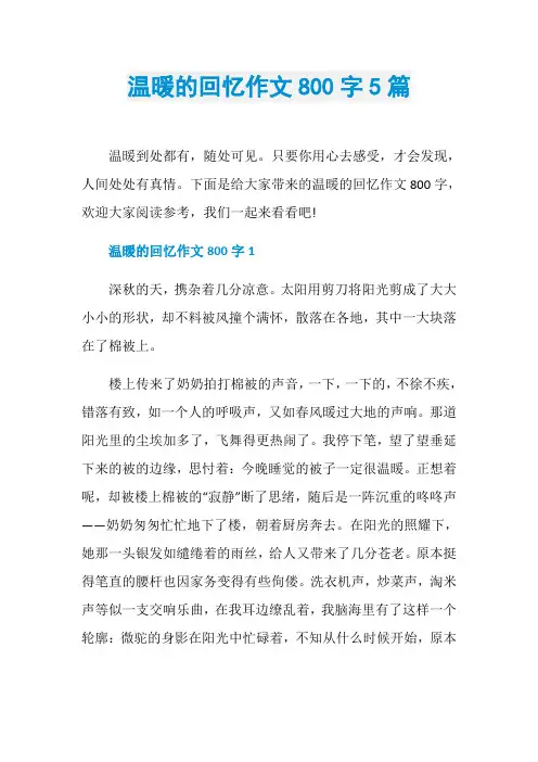 温暖的回忆作文800字5篇