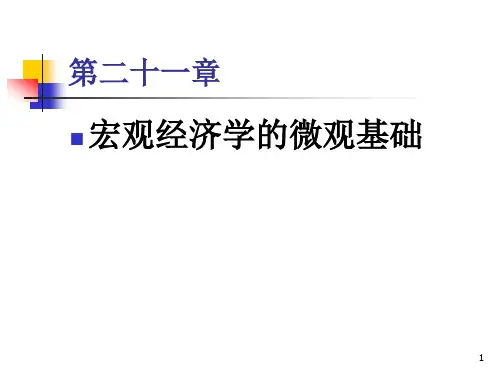 21宏观经济学的微观基础
