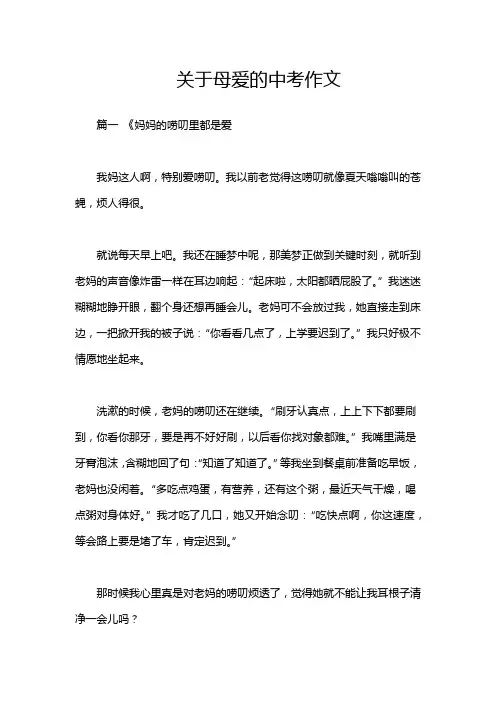 关于母爱的中考作文