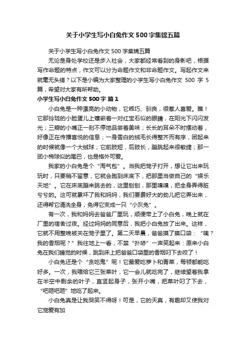 关于小学生写小白兔作文500字集锦五篇