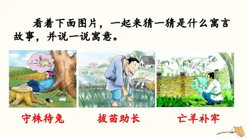 部编人教版五年级语文下册《自相矛盾》课件