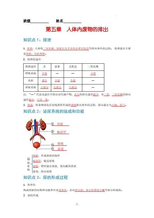 归纳05 人体内废物的排出-七年级生物必背知识清单(人教版七年级下册)0