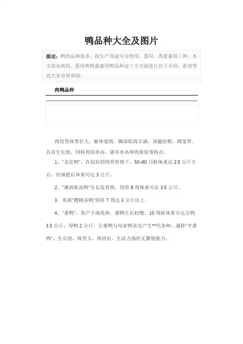 鸭品种大全及图片