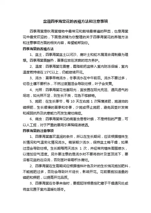 盆栽四季海棠花的养殖方法和注意事项