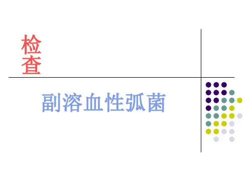 副溶血性弧菌课件