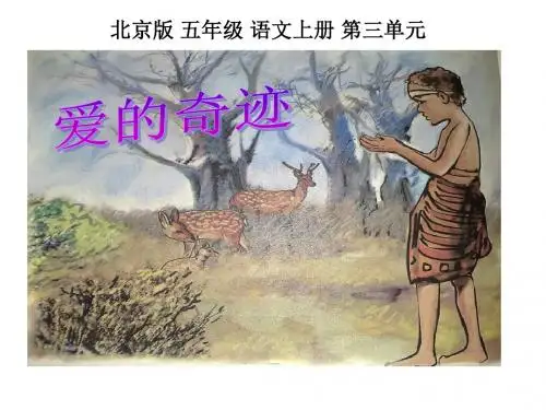 五年级语文爱的奇迹2