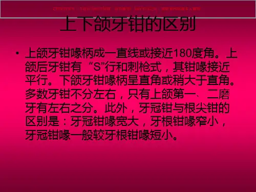 口腔器械识别基础知识课件