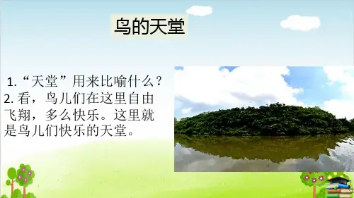 部编版《鸟的天堂》PPT课件1