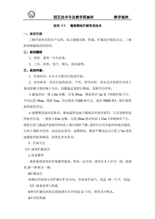 实训5-1葡萄硬枝扦插育苗技术