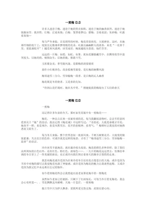 一剪梅作文
