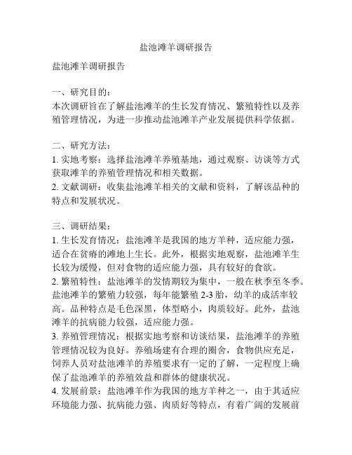 盐池滩羊调研报告