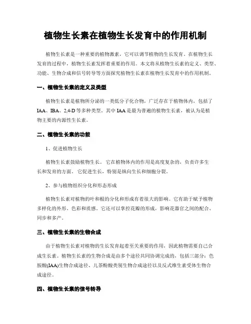 植物生长素在植物生长发育中的作用机制