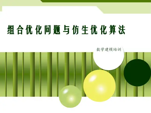 组合优化问题与现代优化算法.
