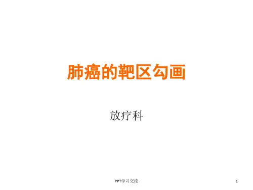 肺癌的靶区勾画ppt课件