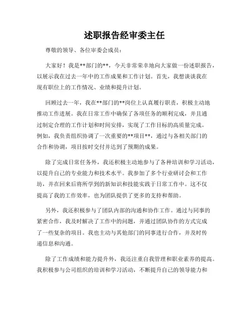述职报告经审委主任
