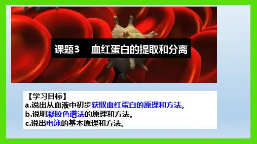 课题3 血红蛋白的提取与和分离