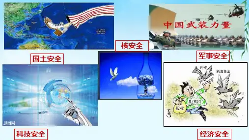 人教版道德与法治八年级上《维护国家安全》(共19张PPT)