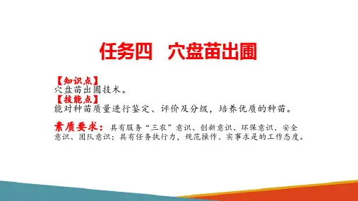 穴盘育苗—穴盘苗出圃(种苗生产课件)