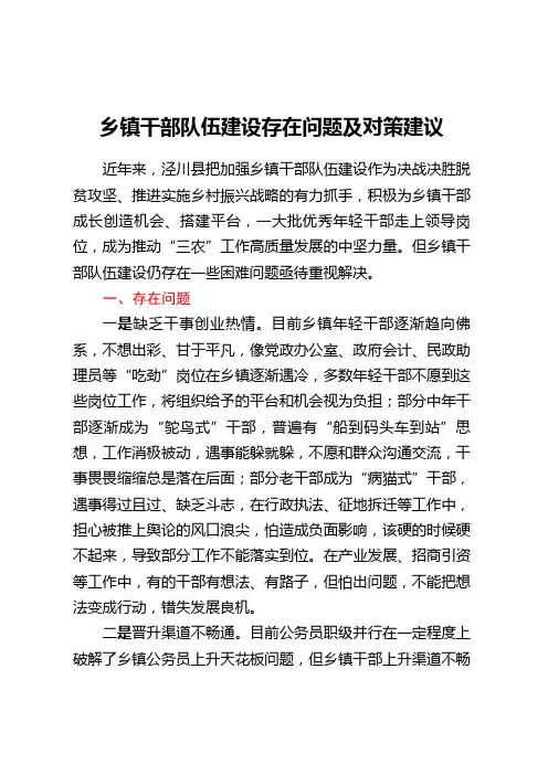 乡镇干部队伍建设存在问题及对策建议 