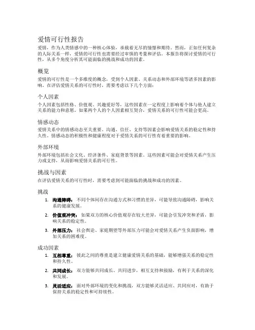 爱情可行性报告
