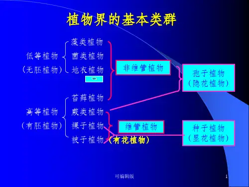 植物界的基本类群与演化-1低等植物