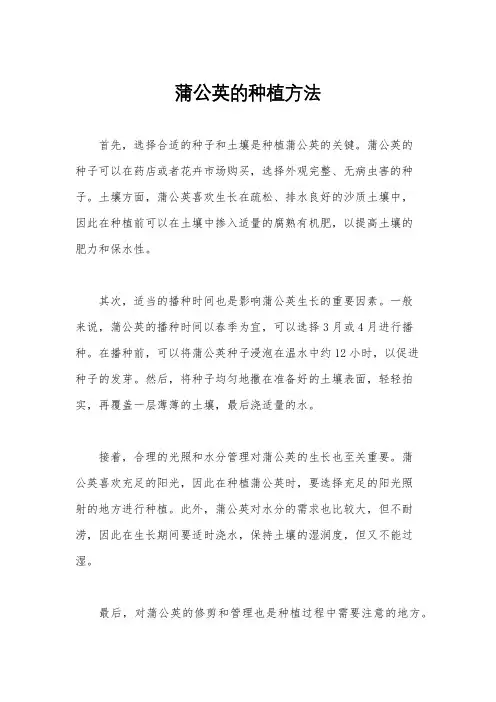 蒲公英的种植方法