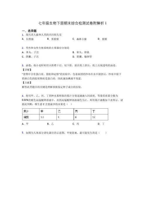 七年级生物下册期末综合检测试卷附解析1