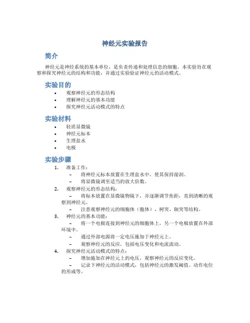 神经元实验报告