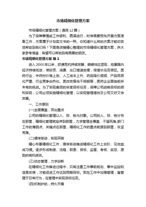 市场精细化管理方案