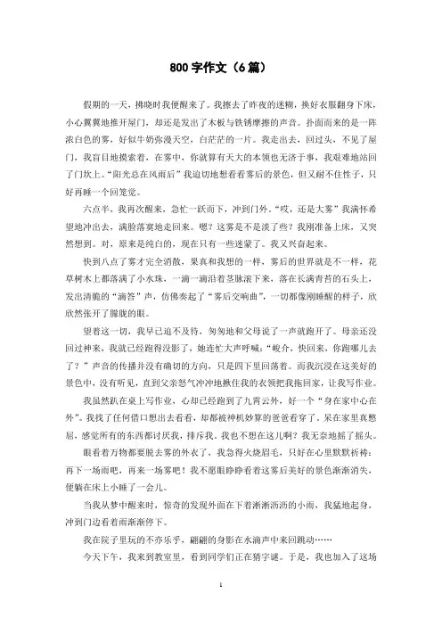 800字作文(6篇)