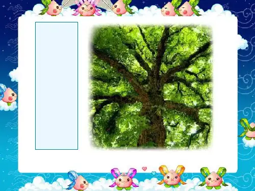 部编版六年级下册语文《桃花心木》PPT课件说课教学