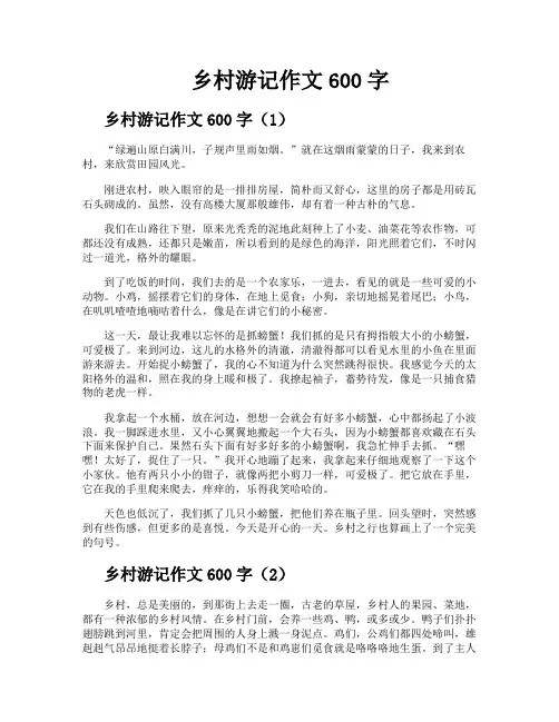 乡村游记作文600字