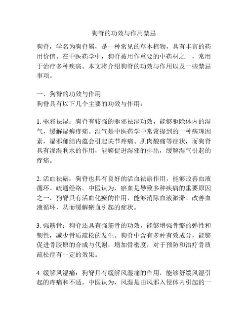狗脊的功效与作用禁忌