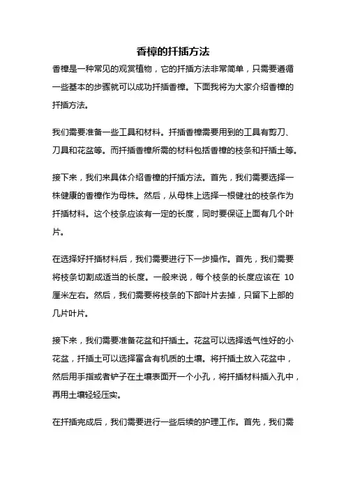香樟的扦插方法