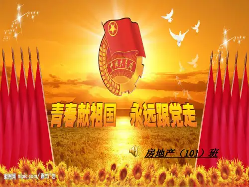 团支部工作汇报 ppt课件