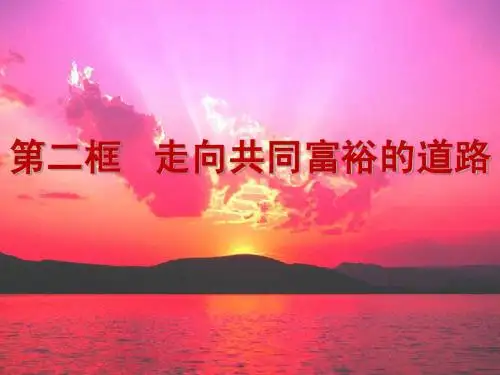 走向共同富裕的道路.ppt