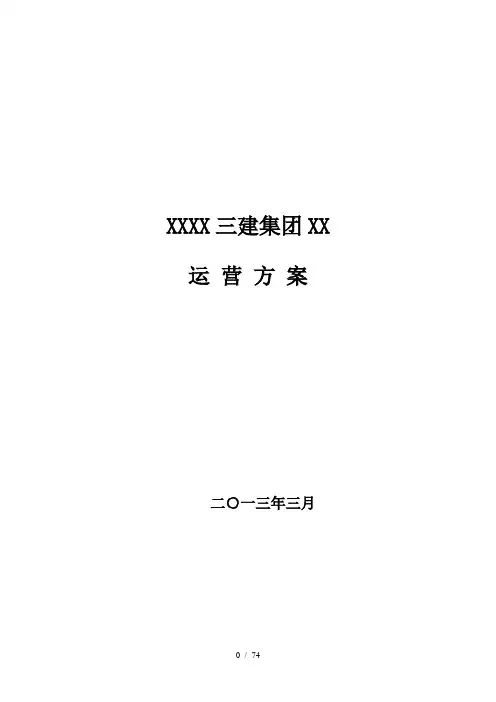 江苏南通三建集团有限公司运营方案(讨论稿)-XXXX0330
