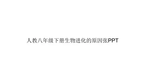 人教八年级下册生物进化的原因张PPTppt文档