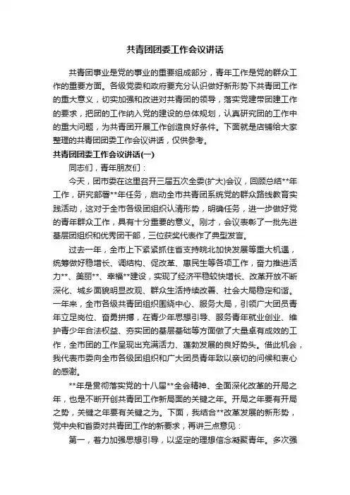 共青团团委工作会议讲话