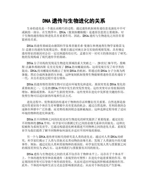 DNA遗传与生物进化的关系